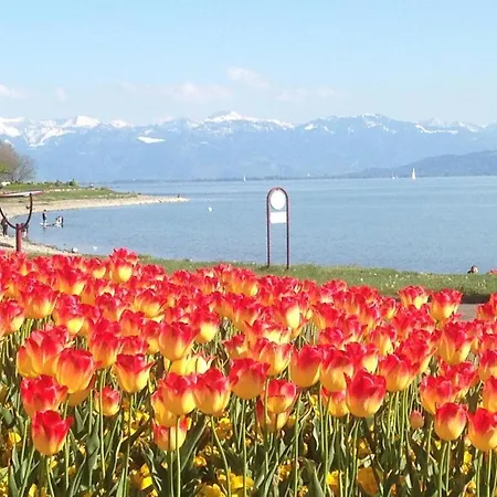 Am Bodensee Daire Langenargen