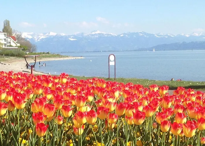 Am Bodensee Апартаменты Лангенарген